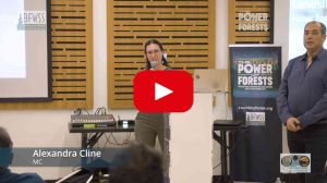 Live streaming portfolio with speakers and sound system